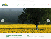 Tablet Screenshot of klasolio.com